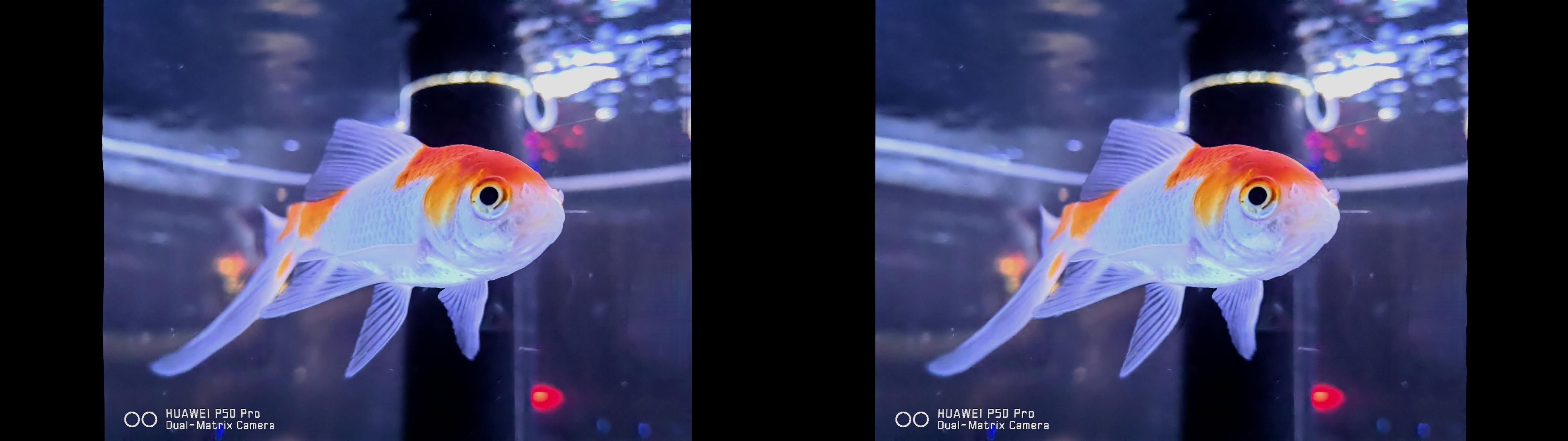 ml-sharpで動画をFull SBSの3D映像に変換してみた