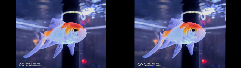 Featured image of post ml-sharpで動画をFull SBSの3D映像に変換してみた